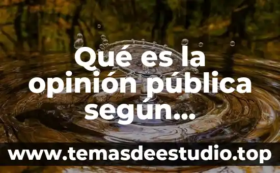 ¿Qué es la opinión pública de Alcohólicos Anónimos? 7 Qué es la opinión pública según D’Adamo