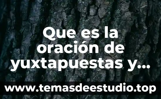 Que es un articulo basado en una oracion 3 Que es la oración de yuxtapuestas y ejemplos