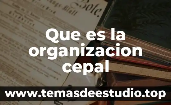 Que es la organizacion taylor 7 Que es la organizacion cepal