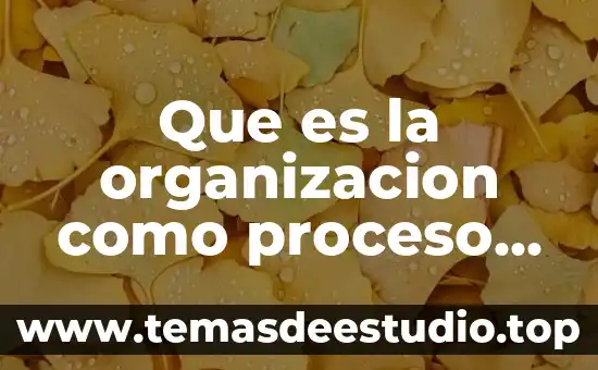 Que es el proceso presupuestario en finanzas 3 Que es la organizacion como proceso administrativo por