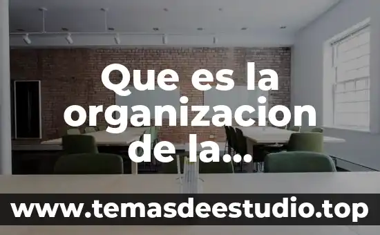 Que es la organizacion cepal 7 Que es la organizacion de la produccion
