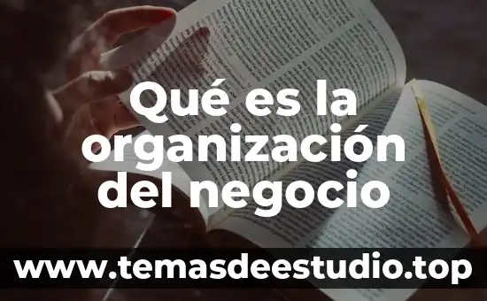 ¿Qué es el capital social de una organización? 4 Qué es la organización del negocio