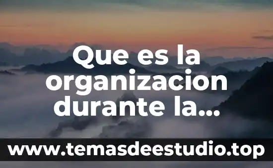 Que es la organizacion durante la gestion de los recursos