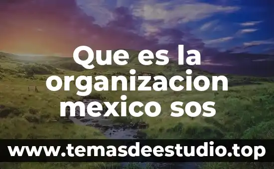 Que es un monumento en vilormetrica de mexico 6 Que es la organizacion mexico sos
