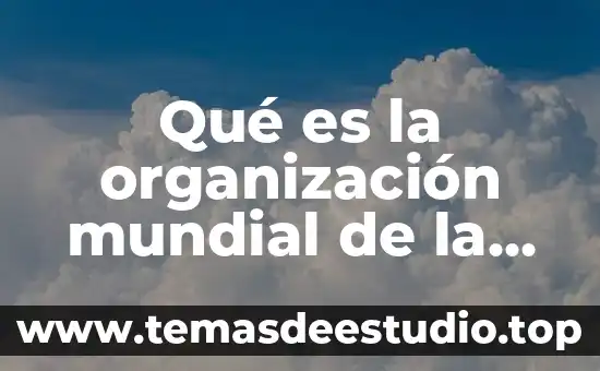 Que es una creencia en salud 6 Qué es la organización mundial de la salud fundación