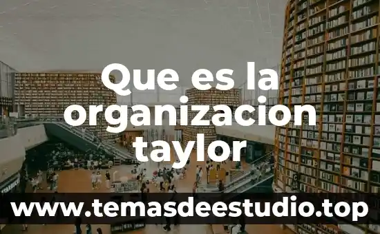 Que es la organizacion cepal 6 Que es la organizacion taylor