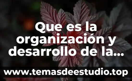 Que es una mesa redonda cuales son sus caracteristicas 6 Que es la organización y desarrollo de la mesa redonda