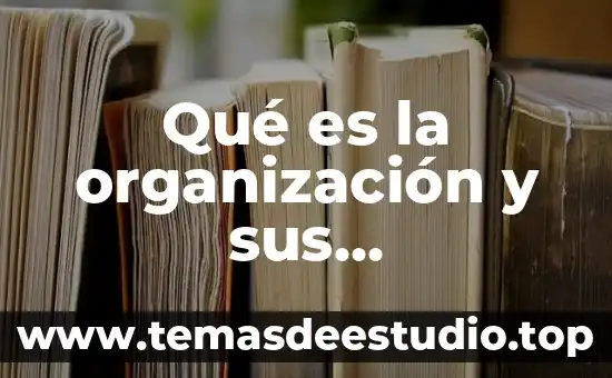 Que es cultura y naturaleza resumen 6 Qu茅 es la organizaci贸n y sus componentes