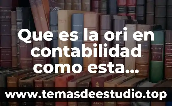 Que es el area de conocimiento en contabilidad 8 Que es la ori en contabilidad como esta compuesta