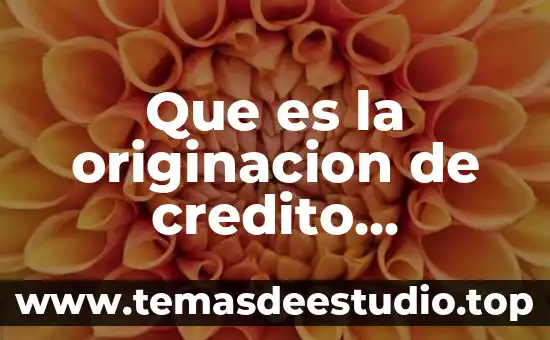 Que es una empresas calificadoras de credito 6 Que es la originacion de credito fovissste