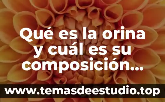 Que es un historiador y cual es su función 3 Qué es la orina y cuál es su composición química