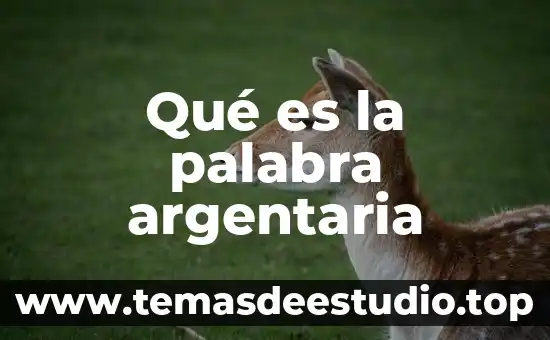 Que es el significado de la palabra futilidad 8 Qué es la palabra argentaria