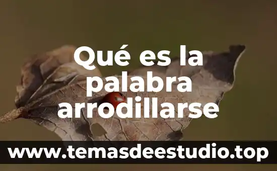 Qué es el significado de la palabra prudente 3 Qué es la palabra arrodillarse