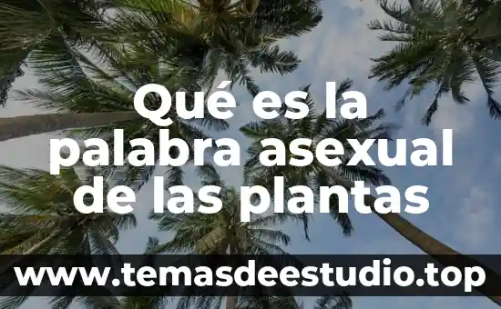Que es reino animal asexual 3 Qué es la palabra asexual de las plantas