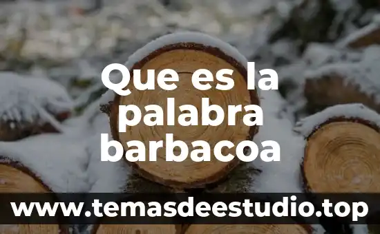 Que es el significado de la palabra futilidad 7 Que es la palabra barbacoa
