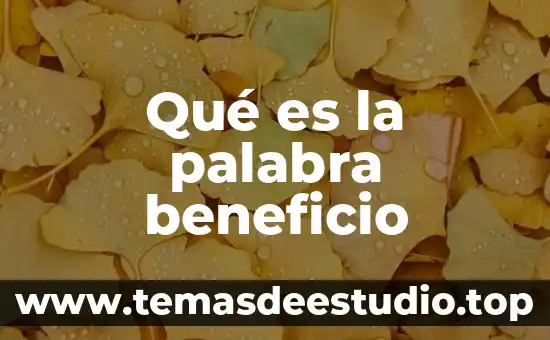 Que es una planta de beneficio minero 6 Qué es la palabra beneficio