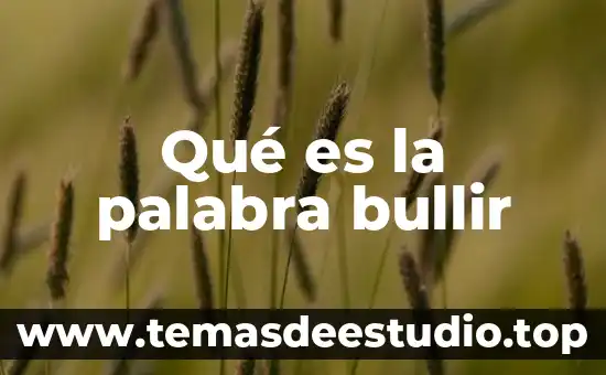 Qué es el significado de la palabra prudente 4 Qué es la palabra bullir