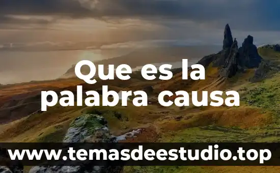 Que es la esencia la causa de pedir consiste en 5 Que es la palabra causa