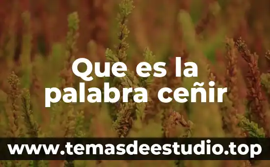 Que es el significado de la palabra futilidad 5 Que es la palabra ceñir