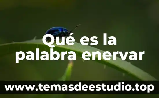 Que es significa la palabra fisura 6 Qué es la palabra enervar