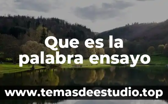 Que es mejor color chocolate o cafe cocinetas 3 Que es la palabra ensayo