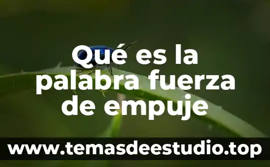 Que es la palabra vendaval 8 Qué es la palabra fuerza de empuje
