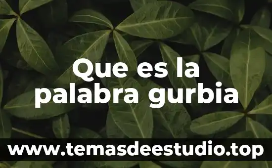 Que es significa la palabra fisura 5 Que es la palabra gurbia