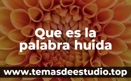 Que es el significado de la palabra panacea 8 Que es la palabra huida