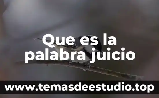 Que es significado etimológico de la palabra biblia 4 Que es la palabra juicio