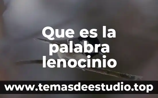 Que es la palabra vendaval 5 Que es la palabra lenocinio