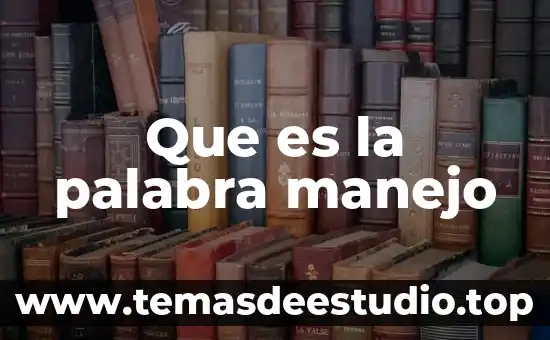 Que es el significado de la palabra panacea 3 Que es la palabra manejo