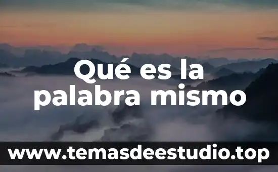 Qué es la palabra mismo