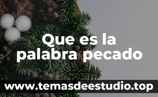 Que es la palabra vendaval 3 Que es la palabra pecado