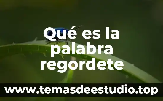 Qué es el significado de la palabra prudente 6 Qué es la palabra regordete