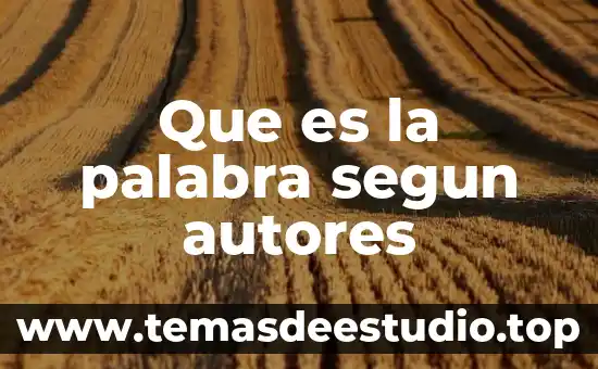 Que es la palabra segun autores