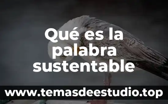 Que es significado etimológico de la palabra biblia 7 Qué es la palabra sustentable
