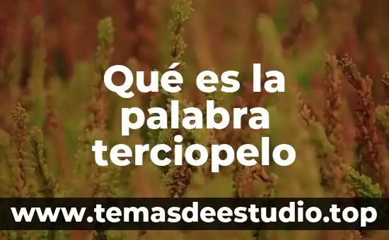 Que es el significado de la palabra futilidad 6 Qué es la palabra terciopelo