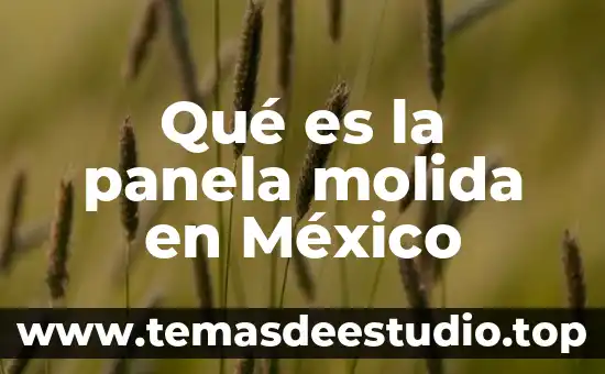 Qué es la panela molida en México
