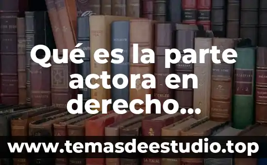 Que es c en derecho 3 Qué es la parte actora en derecho mexicano