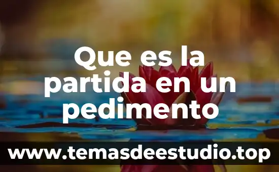 Que es barbilla partida mujeres 6 Que es la partida en un pedimento
