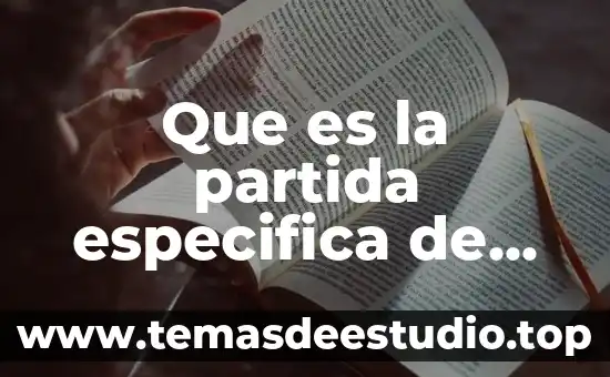 Que es la partida en un pedimento 3 Que es la partida especifica de los estados financieros