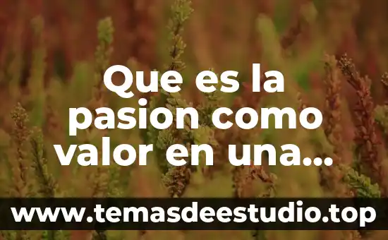 Que es valor y que significa 3 Que es la pasion como valor en una empresa