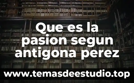 Que es un paradigma segun raul avila 4 Que es la pasion segun antigona perez