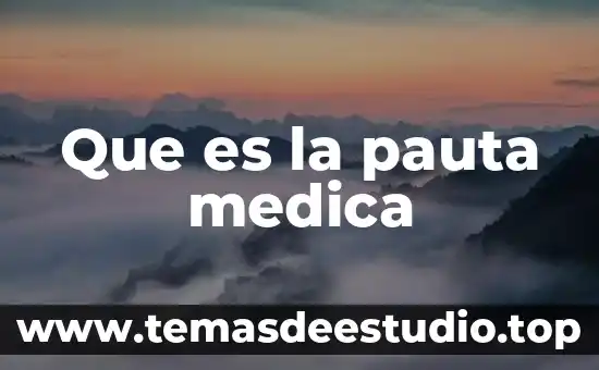 Qué es pauta en filosofía 4 Que es la pauta medica