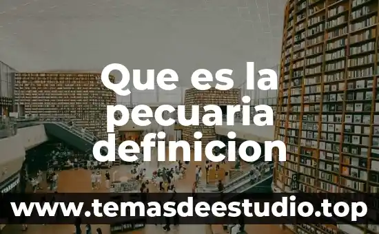 Qué es la amnistía internacional definición 7 Que es la pecuaria definicion
