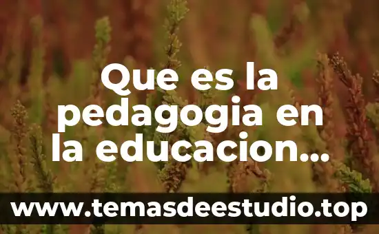 Que es la pedagogia en la educacion yahoo respuestas
