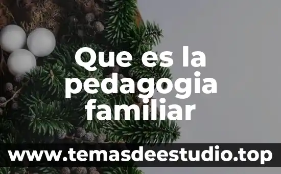 Que es contecsto familiar 5 Que es la pedagogia familiar