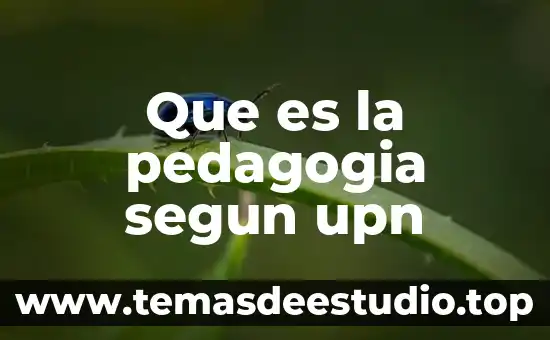 Que es la pedagogia segun upn
