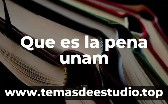 Que es el principio pro persona unam 7 Que es la pena unam