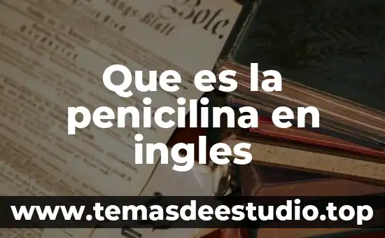 Que es el sol en ingles 6 Que es la penicilina en ingles